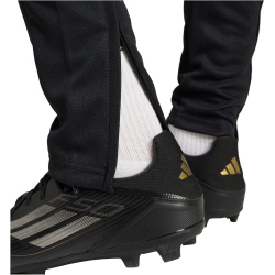 adidas Squadra 25 Trainingshose Herren