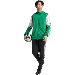 adidas Squadra 25 Kapuzenjacke Herren