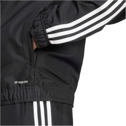 adidas Squadra 25 Präsentationsjacke Herren