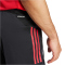 adidas Tiro 25 Competition Trainingsshorts Herren