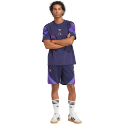 adidas LA Galaxy Originals T-Shirt Herren 2024/25
