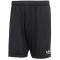 adidas DFB Deutschland 125 Jahre Jubiläum Fußballshorts Herren