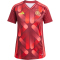 adidas DFB Deutschland Auswärtstrikot Damen 2024/25