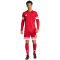 adidas Squadra 25 langarm Fußballtrikot Herren