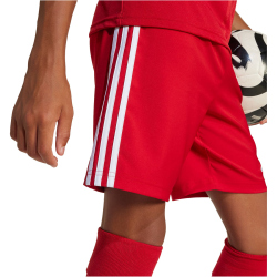 adidas Tastigo 25 Trainingsshorts Kinder