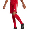 adidas Tastigo 25 Trainingsshorts Kinder