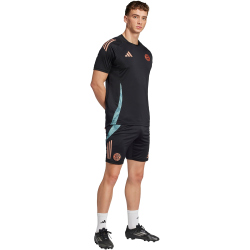 adidas FC Bayern München Tiro 24 Trainingsshorts Herren 2024/25