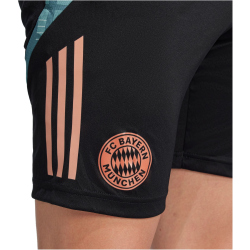 adidas FC Bayern München Tiro 24 Trainingsshorts Herren 2024/25