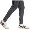adidas FC Bayern München Tiro 25 Competition Vis Tech Travel Trainingshose Herren 2024/25