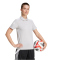 adidas Squadra 25 Baumwoll Poloshirt Damen JY3409 - team light grey/white XXS