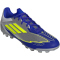 adidas F50 League Messi AG Fußballschuhe JR8057 - silver met./solar yellow/lucid blue 42