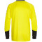hummel Essential Torwart Trikot Kinder