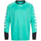 hummel Essential Torwart Trikot Kinder