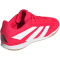 adidas Predator Club Sala IN Fußballschuhe ID3792 - lucid red/cloud white/core black 44 2/3