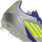 adidas F50 League Messi FG Fußballschuhe Kinder IH0924 - silver met./solar yellow/lucid blue 36 2/3