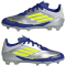 adidas F50 League Messi FG Fußballschuhe Kinder IH0924 - silver met./solar yellow/lucid blue 36 2/3