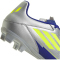 adidas F50 Club FG/MG Fußballschuhe IH0916 - silver met./solar yellow/lucid blue 42