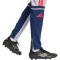 adidas Squadra 25 Trainingshose Herren JP3372 - glory grey/team navy blue 2/pure ruby M