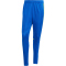 adidas Squadra 25 Trainingshose Herren JP3152 - team royal blue/team yellow XS