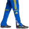 adidas Squadra 25 Trainingshose Herren JP3152 - team royal blue/team yellow XS
