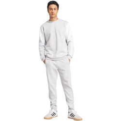 adidas Squadra 25 Crew Sweatshirt Herren JD2960 - team...