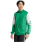 adidas Squadra 25 Kapuzenjacke Herren JP3164 - team green/white XS