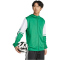 adidas Squadra 25 Kapuzenjacke Herren JP3164 - team green/white XS