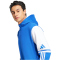 adidas Squadra 25 Sweat Hoodie Herren JD2974 - team royal blue/white XS