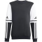 adidas Squadra 25 Crew Sweatshirt Kinder JE2773 - black/white 116