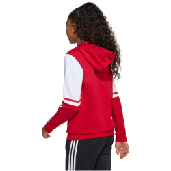 adidas Squadra 25 Sweat Hoodie Kinder JD4805 - team power...