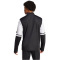 adidas Squadra 25 1/4-Zip Sweatshirt Herren JE2767 - black/white XS