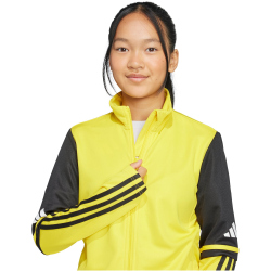 adidas Squadra 25 Trainingsjacke Kinder JP3395 - team yellow/black/white 128