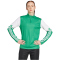 adidas Squadra 25 1/4-Zip Sweatshirt Damen JP3159 - team green/white XXS