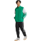 adidas Squadra 25 Präsentationsjacke Herren JP3165 - team green/white XS