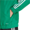 adidas Squadra 25 Präsentationsjacke Herren JP3165 - team green/white XS