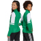 adidas Squadra 25 1/4-Zip Sweatshirt Kinder JP3160 - team green/white 116