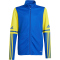 adidas Squadra 25 1/4-Zip Sweatshirt Kinder JP3156 - team royal blue/team yellow 116