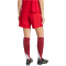 adidas Tiro 25 Competition Match Fußballshorts Damen JP4742 - team power red 2/team light grey XXS