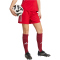 adidas Tiro 25 Competition Match Fußballshorts Damen JP4742 - team power red 2/team light grey XS