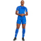 adidas Tiro 25 Competition Fußballtrikot Damen JH3825 - team royal blue XXS