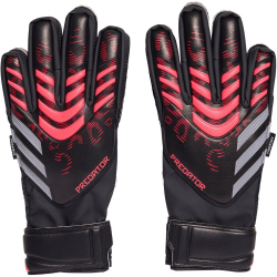 adidas Predator Match NC Torwarthandschuhe Kinder JM6829...