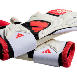 adidas Copa Pro NC Torwarthandschuhe Kinder JH3795 -...