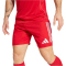 adidas Tiro 25 Competition Match Fußballshorts Herren JP4743 - team power red 2/team light grey XS
