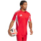 adidas Tiro 25 Competition Match Fußballtrikot Herren JP4734 - team power red 2/team light grey XS