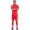 adidas Tiro 25 Competition Match Fußballtrikot Herren JP4734 - team power red 2/team light grey XS