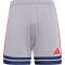 adidas Squadra 25 Fußballshorts Herren JP3401 - glory grey/team navy blue 2/pure ruby S