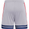 adidas Squadra 25 Fußballshorts Herren JP3401 - glory grey/team navy blue 2/pure ruby S