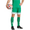 adidas Squadra 25 Fußballshorts Herren JN7482 - team green/white XS