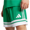 adidas Squadra 25 Fußballshorts Herren JN7482 - team green/white XS
