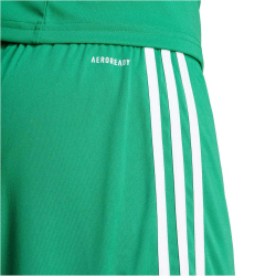adidas Squadra 25 Fußballshorts Herren JN7482 - team green/white S